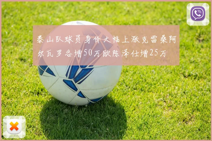 泰山队球员身价大幅上涨克雷桑阿尔瓦罗各增50万欧陈泽仕增25万